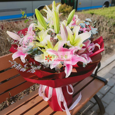 普洱8支多头百合，万事如意喜上加喜